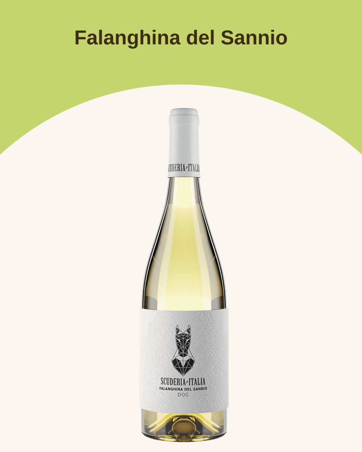 Falanghina del Sannio DOC BIO