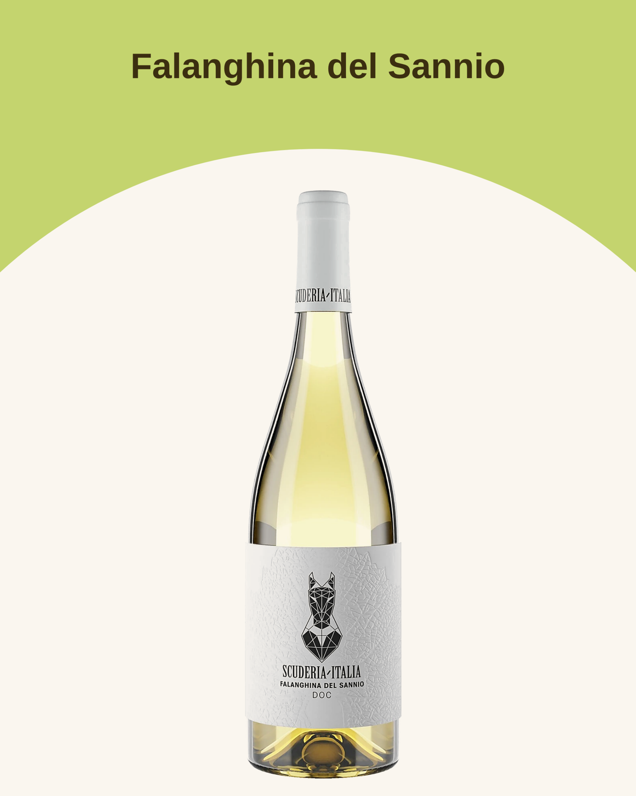 Falanghina del Sannio DOC BIO